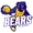 Bears logo