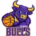 Bulls logo