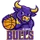 Bulls logo