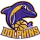 Dolphins logo