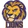 Lions logo
