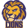 Lions logo