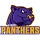Panthers logo