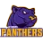 Panthers logo