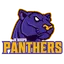 Panthers logo