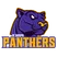Panthers logo