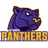 Panthers logo