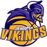 Vikings logo