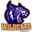 Wildcats logo