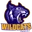 Wildcats logo