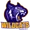 Wildcats logo